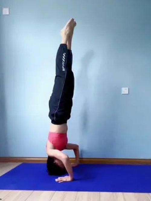 成人倒立锻炼方法视频,跟随视频教程，挑战自我极限