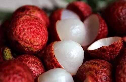 成人软件荔枝视频,成人软件的视听盛宴