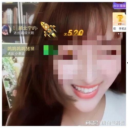 成人直播视频红,现象背后的社会与文化解析