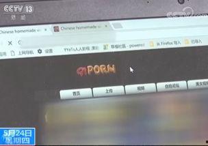 中文成人性视频