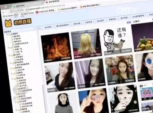 成人网在线视频